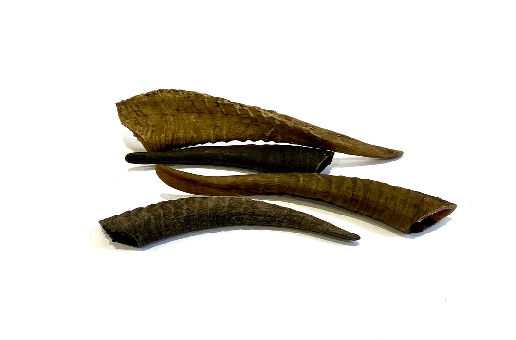 Goat Horn