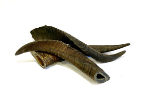 Goat Horn